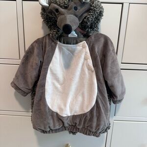 Target Hedgehog Costume